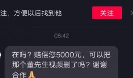 网红诸葛爆料视频大全最新,揭秘热门视频背后的秘密与真相