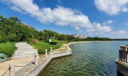 黄河公园爆料最新消息,揭秘公园神秘事件背后的真相